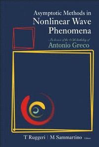 bokomslag Asymptotic Methods In Nonlinear Wave Phenomena: In Honor Of The 65th Birthday Of Antonio Greco