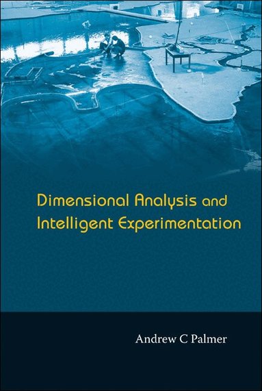 Andrew C Palmer - DIMENSIONAL ANALYSIS AND INTELLIGENT EXPERIMENTATION, Häftad