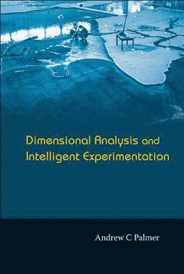 Andrew C Palmer - DIMENSIONAL ANALYSIS AND INTELLIGENT EXPERIMENTATION, Häftad