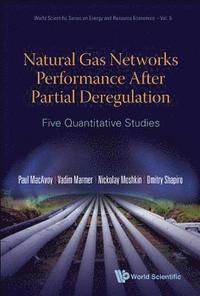 bokomslag Natural Gas Networks Performance After Partial Deregulation: Five Quantitative Studies