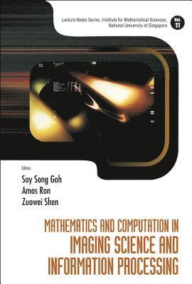 Zuowei Shen, Say Song Goh, S'pore) Shen, Zuowei (Nus, S'pore) Goh, Say Song (Nus, GOH SAY SONG, Amos Ron, Usa) Ron, Amos (Univ Of Wisconsin-madison - Mathematics And Computation In Imaging Science And Information Processing, Inbunden