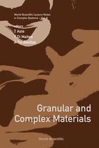 bokomslag Granular And Complex Materials