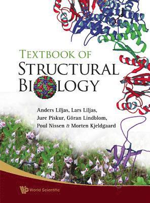 bokomslag Textbook Of Structural Biology