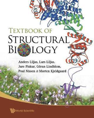 bokomslag Textbook Of Structural Biology