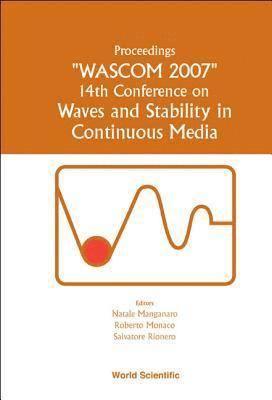 bokomslag Waves And Stability In Continuous Media - Proceedings Of The 14th Conference On Wascom 2007
