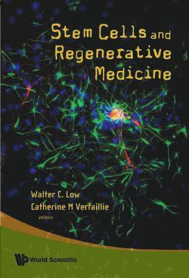 LOW WALTER C, Walter C Low, Catherine M Verfaillie - STEM CELLS AND REGENERATIVE MEDICINE, Inbunden. Tillgänglighet: Tillfälligt slut