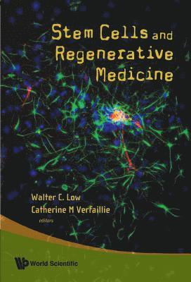 Stem Cells And Regenerative Medicine 1