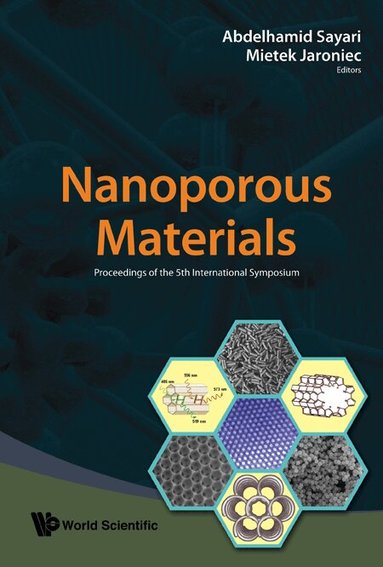 SAYARI ABDELHAMID, Abdelhamid Sayari, Mietek Jaroniec - NANOPOROUS MATERIALS - PROCEEDINGS OF THE 5TH INTERNATIONAL SYMPOSIUM, Inbunden