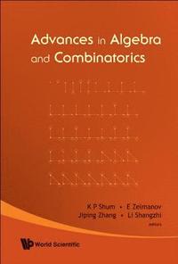 bokomslag Advances In Algebra And Combinatorics - Proceedings Of The Second International Congress In Algebra And Combinatorics