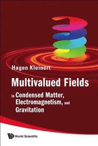 bokomslag Multivalued Fields: In Condensed Matter, Electromagnetism, And Gravitation