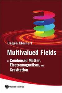 bokomslag Multivalued Fields: In Condensed Matter, Electromagnetism, And Gravitation