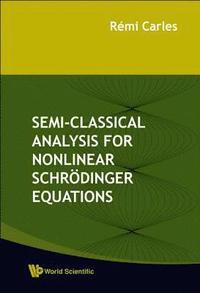 bokomslag Semi-classical Analysis For Nonlinear Schrodinger Equations