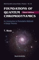 bokomslag Foundations Of Quantum Chromodynamics: An Introduction To Perturbative Methods In Gauge Theories (3rd Edition)