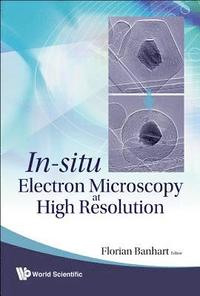 bokomslag In-situ Electron Microscopy At High Resolution