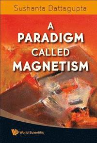 bokomslag Paradigm Called Magnetism, A