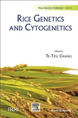 bokomslag Rice Genetics And Cytogenetics - Proceedings Of The Symposium