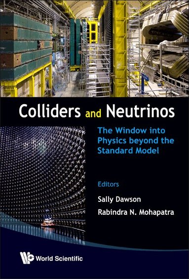 DAWSON SALLY, Sally Dawson, Rabindra N Mohapatra - COLLIDERS AND NEUTRINOS: THE WINDOW INTO PHYSICS BEYOND THE STANDARD MODEL (TASI 2006), Inbunden