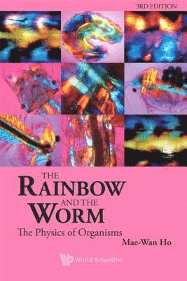 Rainbow And The Worm, The: The Physics Of Organisms (3rd Edition) 1