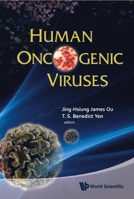bokomslag Human Oncogenic Viruses