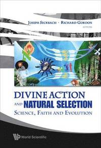 bokomslag Divine Action And Natural Selection: Science, Faith And Evolution