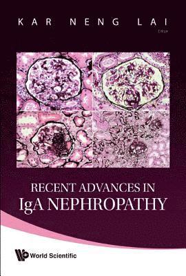 bokomslag Recent Advances In Iga Nephropathy