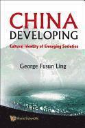 bokomslag China Developing: Cultural Identity Of Emerging Societies