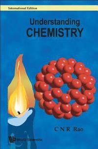 bokomslag Understanding Chemistry