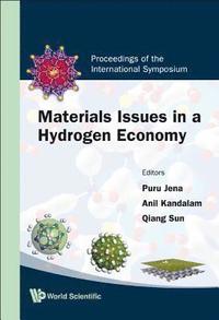 bokomslag Materials Issues In A Hydrogen Economy - Proceedings Of The International Symposium