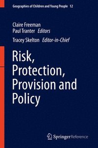 bokomslag Risk, Protection, Provision and Policy