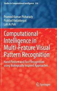 bokomslag Computational Intelligence in Multi-Feature Visual Pattern Recognition