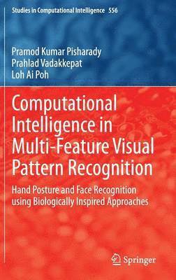 Computational Intelligence in Multi-Feature Visual Pattern Recognition 1