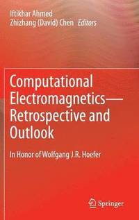 bokomslag Computational ElectromagneticsRetrospective and Outlook