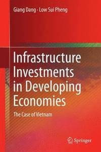 bokomslag Infrastructure Investments in Developing Economies
