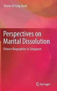 bokomslag Perspectives on Marital Dissolution