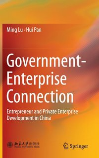 bokomslag Government-Enterprise Connection