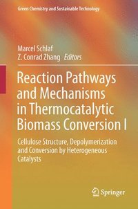 bokomslag Reaction Pathways and Mechanisms in Thermocatalytic Biomass Conversion I