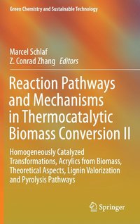 bokomslag Reaction Pathways and Mechanisms in Thermocatalytic Biomass Conversion II