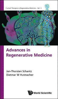 Jan-thorsten Schantz, Dietmar Werner Hutmacher - Innovative Approaches In Regenerative Medicine, Häftad