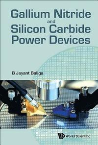 bokomslag Gallium Nitride And Silicon Carbide Power Devices