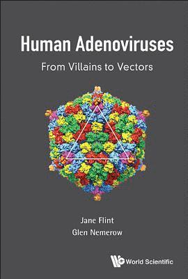 bokomslag Human Adenoviruses: From Villains To Vectors