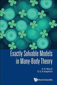 bokomslag Exactly Solvable Models In Many-body Theory