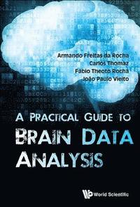 bokomslag Practical Guide To Brain Data Analysis, A