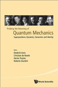 bokomslag Probing The Meaning Of Quantum Mechanics: Superpositions, Dynamics, Semantics And Identity