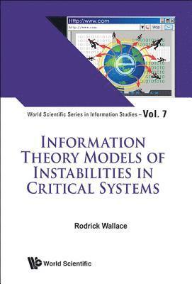 Information Theory Models Of Instabilities In Critical Systems 1