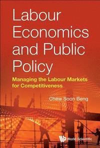 bokomslag Labour Economics And Public Policy: Managing The Labour Markets For Competitiveness