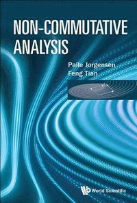 bokomslag Non-commutative Analysis