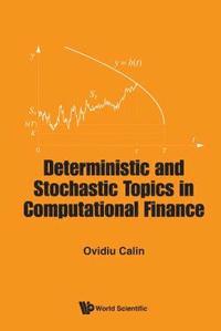 bokomslag Deterministic And Stochastic Topics In Computational Finance