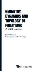 bokomslag Geometry, Dynamics And Topology Of Foliations: A First Course