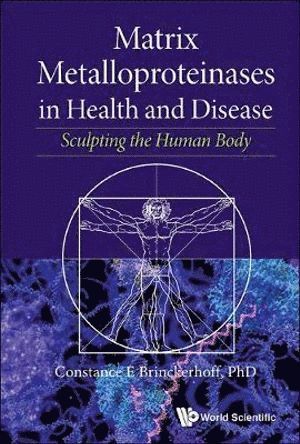 bokomslag Matrix Metalloproteinases In Health And Disease: Sculpting The Human Body