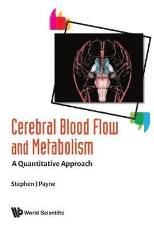 bokomslag Cerebral Blood Flow And Metabolism: A Quantitative Approach